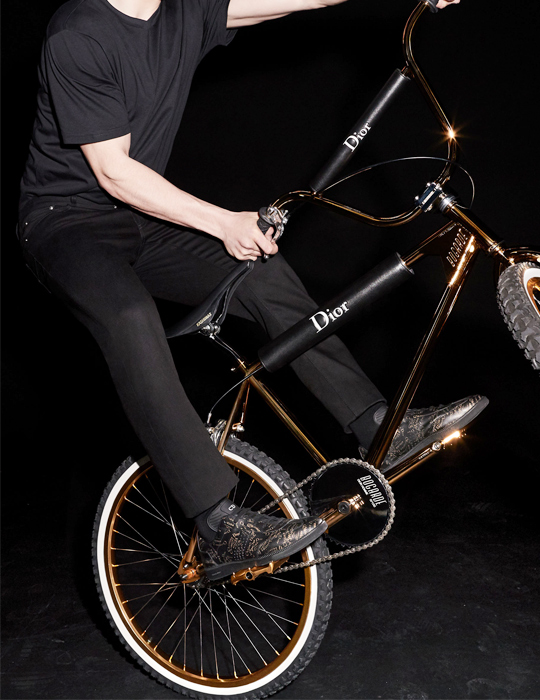 bmx dior homme x bogarde