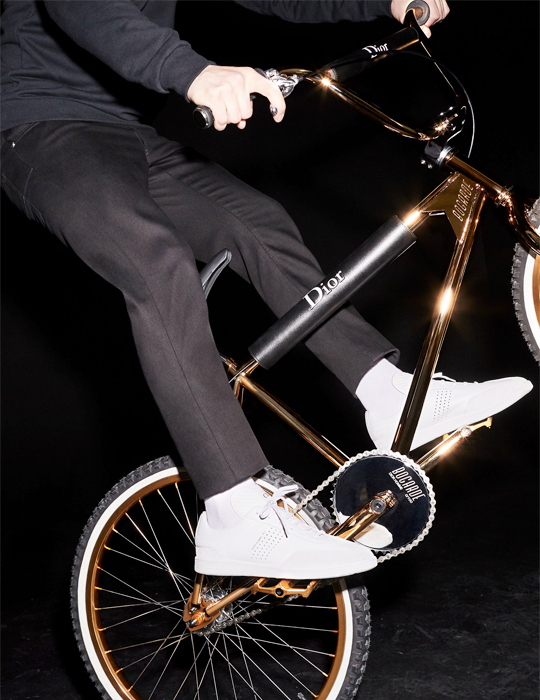 bmx dior homme x bogarde